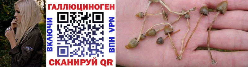 Галлюциногенные грибы Cubensis  мега онион  Абаза 
